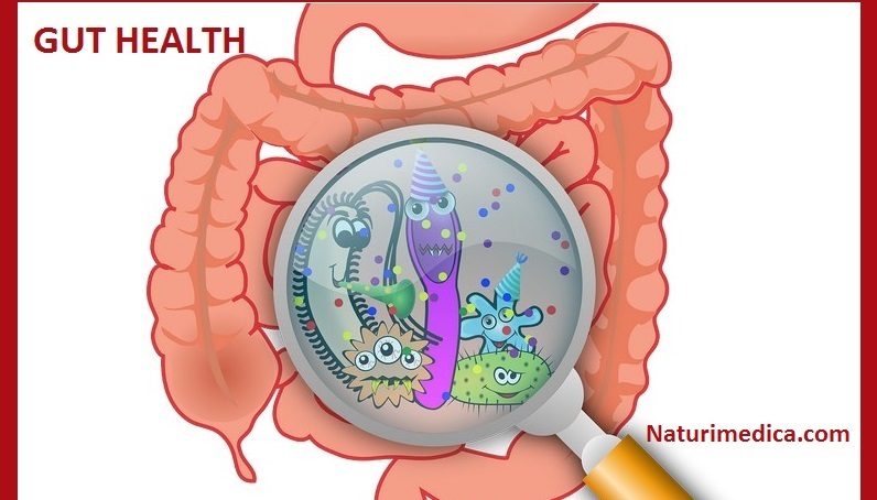 Parasite Blastocystis Hominis Natural Treatment Parasite Blastocystis Hominis Natural Treatment