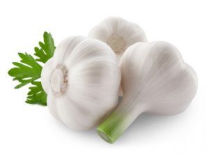 Garlic powerful natural antibiotic