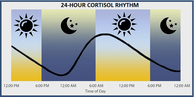 saliva cortisol test