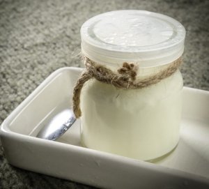 SCD yoghurt recipes - milk