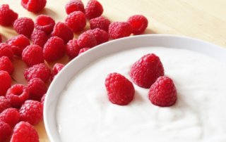 SCD yoghurt recipes