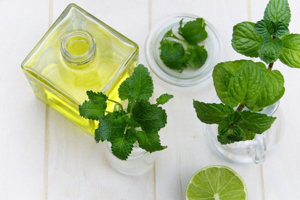 Herbal medicine resources - Digestive aids