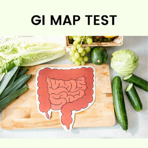 GI map gut test