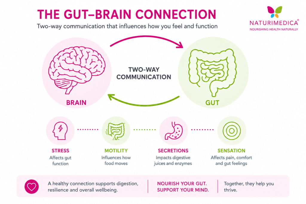 Gut-brain connection infographic, gut health and the microbiome foundational guide