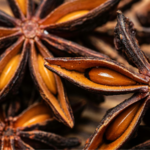 Herbal medicine resources - star anise 