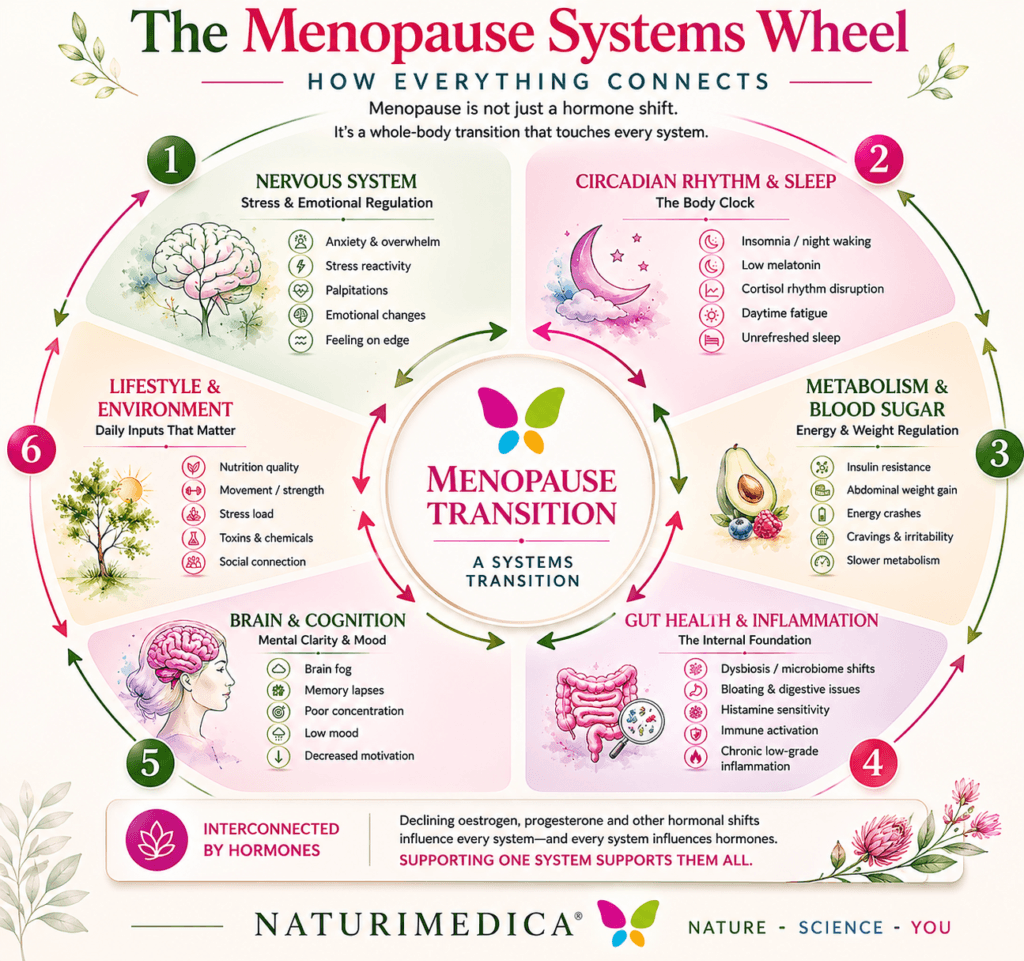 Menopause Systems Wheel infographic showing how nervous system regulation, circadian rhythm, metabolism, gut health, cognition and lifestyle interact during menopause after 40.