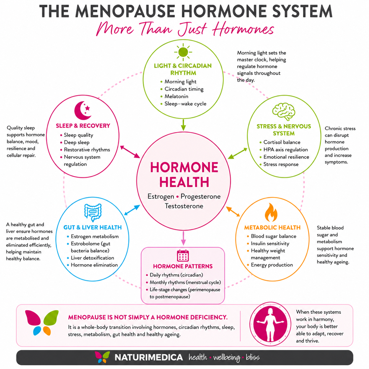 The Menopause Hormone System infographic showing how hormones interact with circadian biology, sleep, stress, metabolism and gut health
