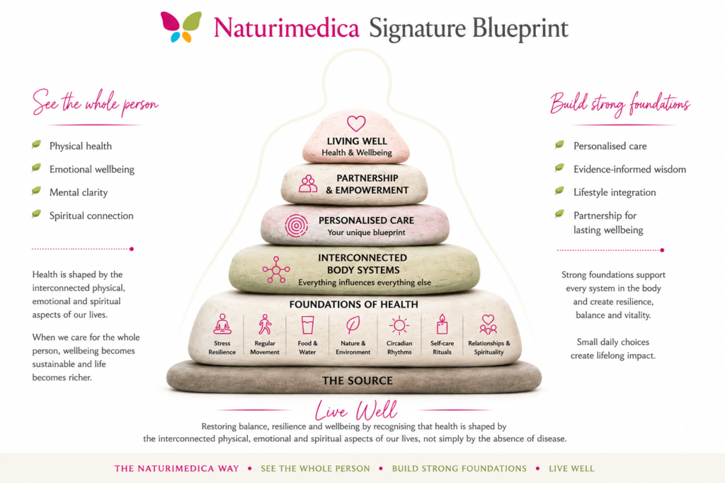 Naturimedica Signature Blueprint illustrating the evidence-informed, systems-based approach to wholistic health care.