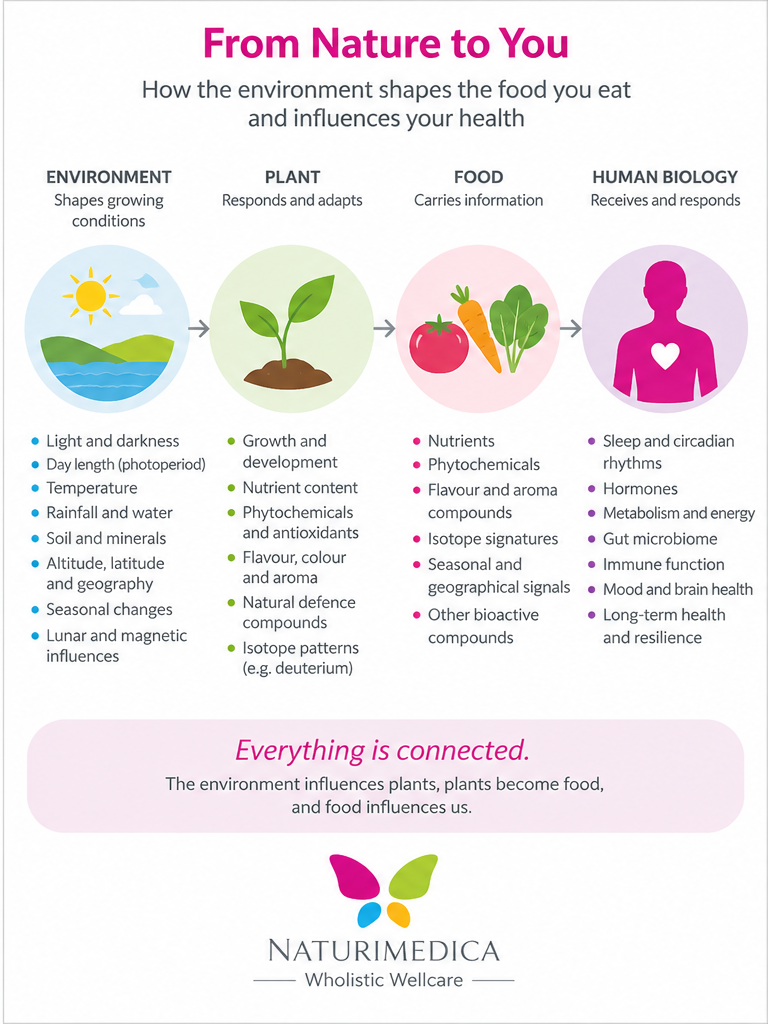 Eating With the Seasons: Why Seasonal Food May Matter More Than We Think. Food information before the plate graphic