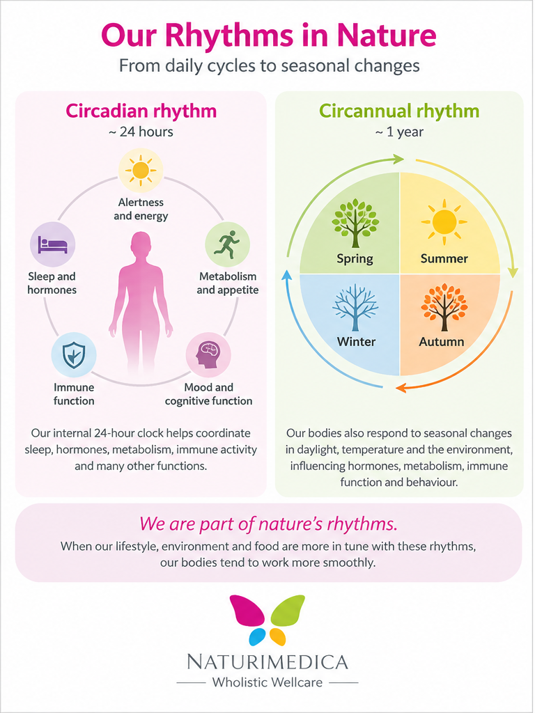Food as information pathway from environment to plant, food and human biology 
