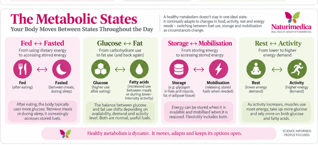 Metabolic flexibility: moving between the metabolic states