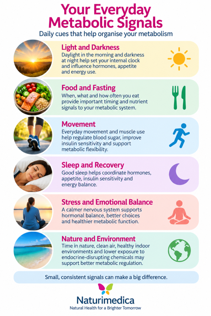 Your everyday metabolic signals: daily clues that help organise your metabolism - Naturimedica